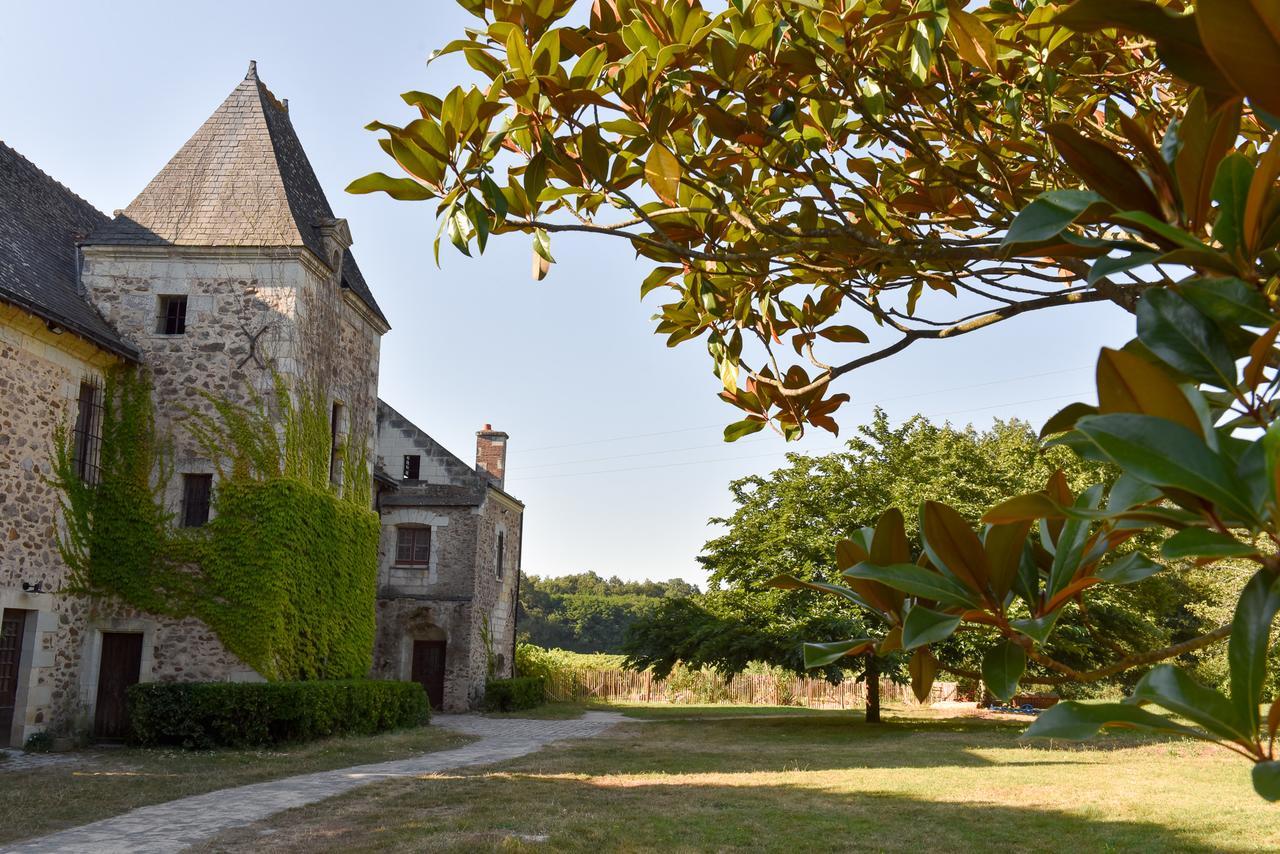 Manoir De Jouralem Bed & Breakfast Blaison Екстериор снимка